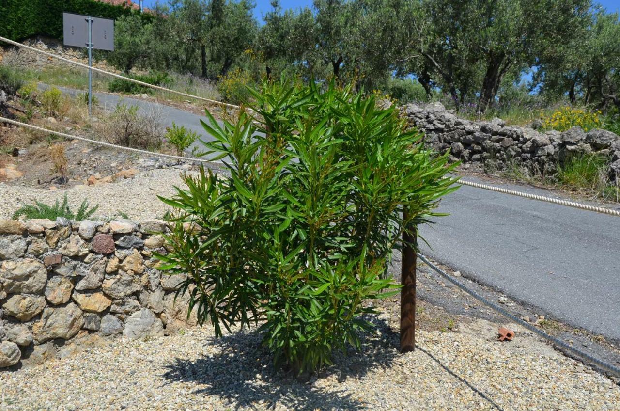 Agriturismo Tendapiccola Ceriale Εξωτερικό φωτογραφία